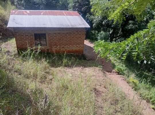 EKARI 25,SHAMBA/MAZAO INAUZA BANK,MOROGORO