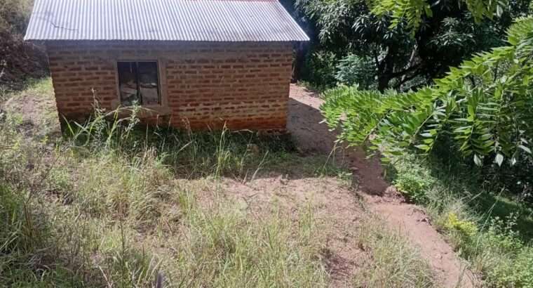 EKARI 25,SHAMBA/MAZAO INAUZA BANK,MOROGORO