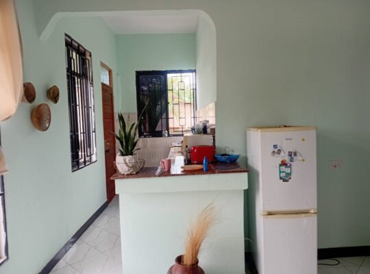 IMEPUNGUZWA BEI, SASA TSHS.150 MIL. TU, MADALE.