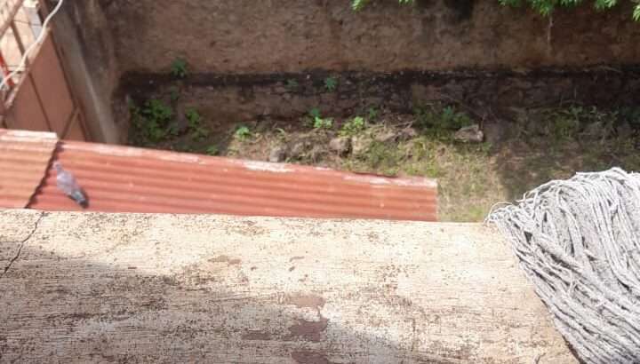 VYUMBA 2, INAYOJITEGEMEA,MAWENZI RD,MOSHI