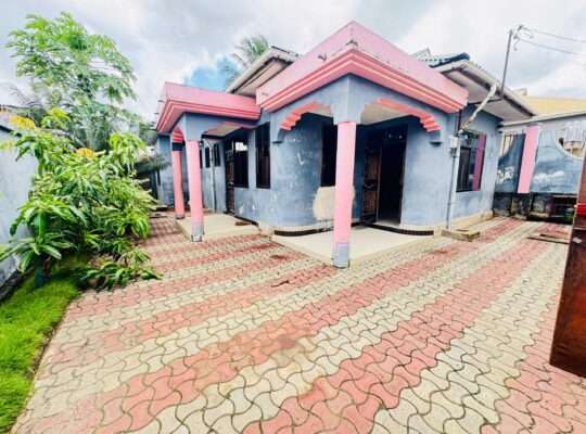 NYUMBA VYUMBA 3 YENYE HATI,TSHS.115 MIL,MAKONGO