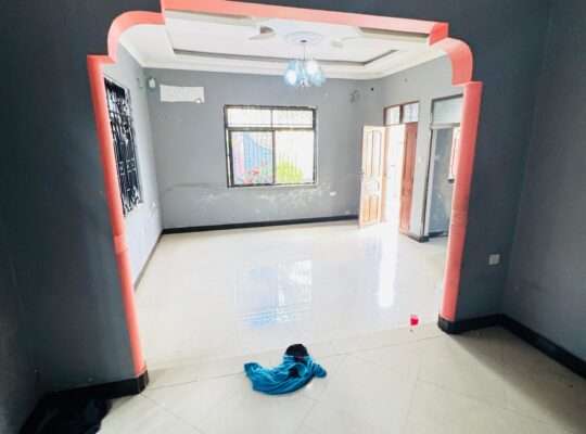 NYUMBA VYUMBA 3 YENYE HATI,TSHS.115 MIL,MAKONGO
