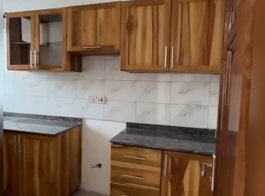 APARTMENT MPYA, VYUMBA 3,TSHS.1.5 MILIONI, SINZA