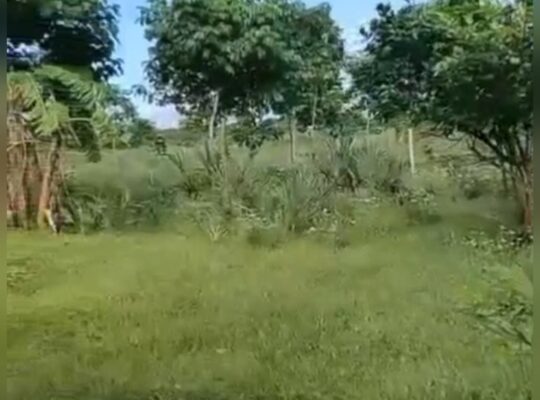 SHAMBA LILILOENDELEZWA,EKA 20,KIROMO-BAGAMOYO.