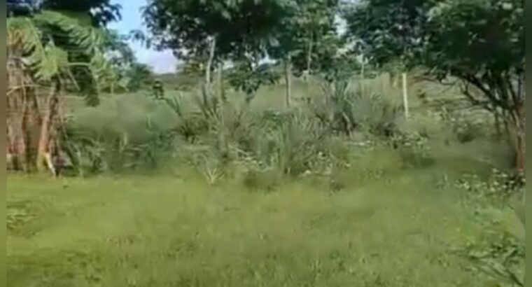 SHAMBA LILILOENDELEZWA,EKA 20,KIROMO-BAGAMOYO.