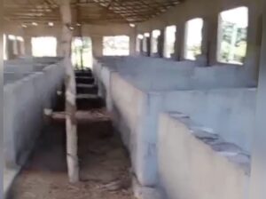 SHAMBA LILILOENDELEZWA,EKA 20,KIROMO-BAGAMOYO.
