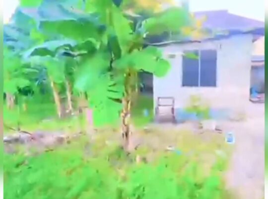 KIWANJA SQM.1,350,TSHS.400 MIL,MBEZI MAKONDE.