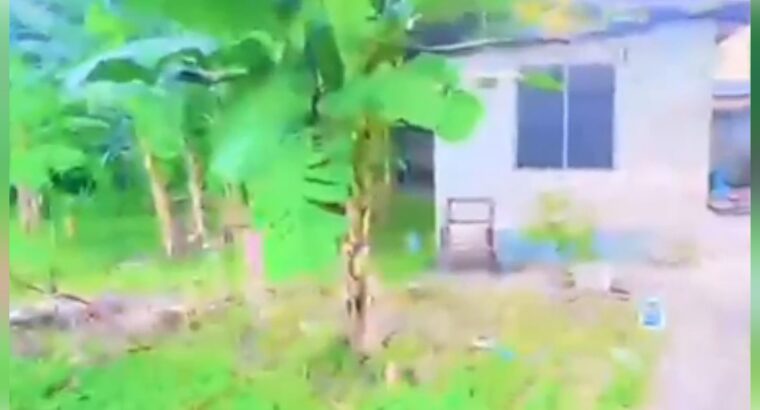 KIWANJA SQM.1,350,TSHS.400 MIL,MBEZI MAKONDE.