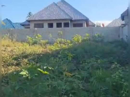 KIWANJA SQM.1,500, TZS.65 MIL,MIKWAMBE-KIGAMBONI