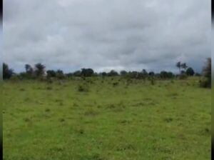 11.7 ACRES INDUSTRIAL PLOT AT MWASONGA KIGAMBONI