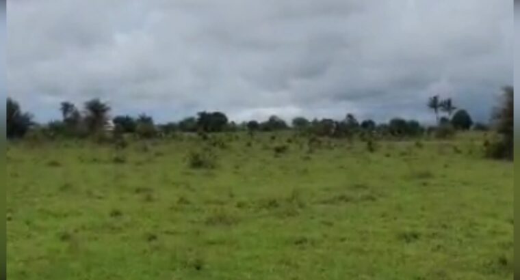 11.7 ACRES INDUSTRIAL PLOT AT MWASONGA KIGAMBONI