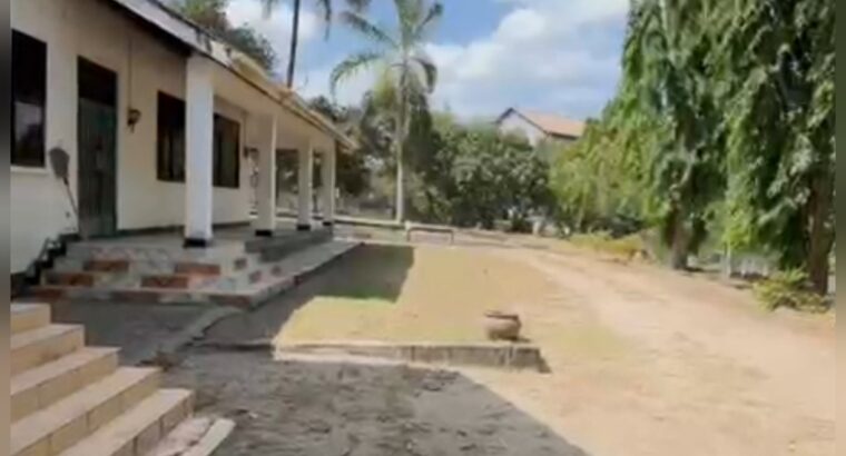 KIWANJA EKARI 2,TSHS.900 MIL,LUGURUNI/MBEZI.