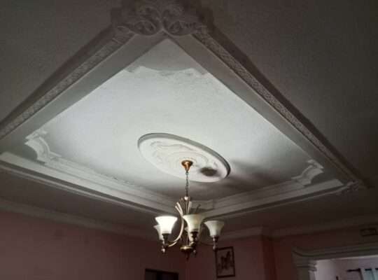 NYUMBA ROOM 3,INAUZA BANK,TSHS.80 MIL,PUGU/ILALA