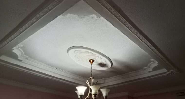 NYUMBA ROOM 3,INAUZA BANK,TSHS.80 MIL,PUGU/ILALA
