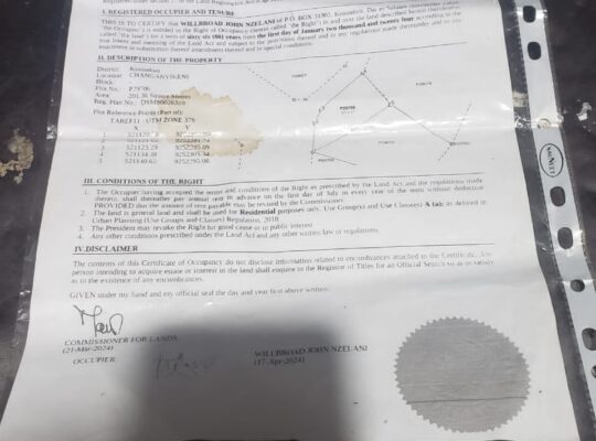 Eneo inauzwa changanyikeni