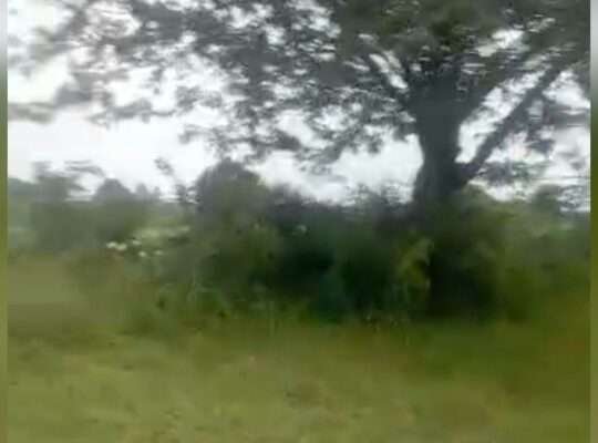 10 ACRES INDUSTRIAL PLOT,TZS.1.6 BIL,AT KIBABAHA