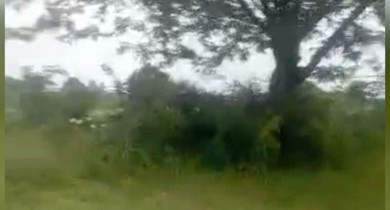 10 ACRES INDUSTRIAL PLOT,TZS.1.6 BIL,AT KIBABAHA