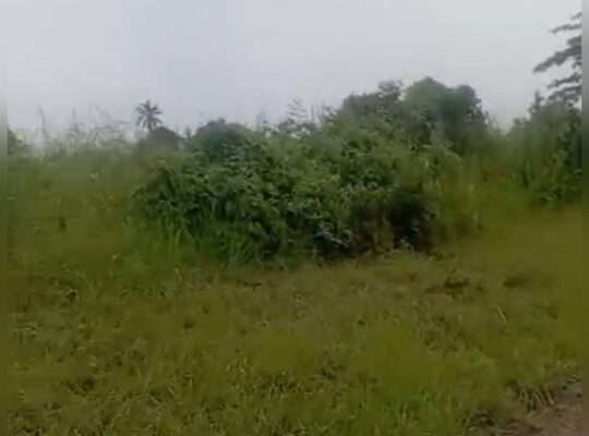 10 ACRES INDUSTRIAL PLOT,TZS.1.6 BIL,AT KIBABAHA