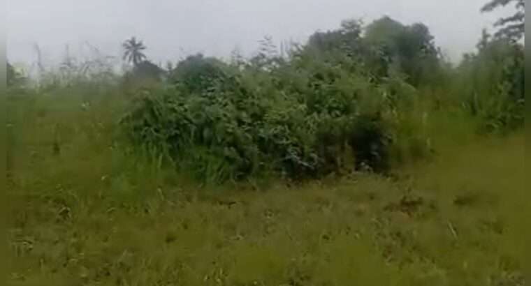 10 ACRES INDUSTRIAL PLOT,TZS.1.6 BIL,AT KIBABAHA
