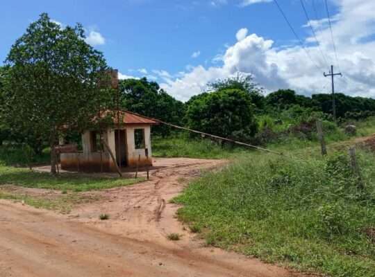 500 ACRES DEVELOPED FARM. TZS.1.5 BIL, AT KABUKU