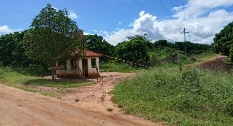 500 ACRES DEVELOPED FARM. TZS.1.5 BIL, AT KABUKU