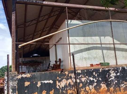 500 ACRES DEVELOPED FARM. TZS.1.5 BIL, AT KABUKU