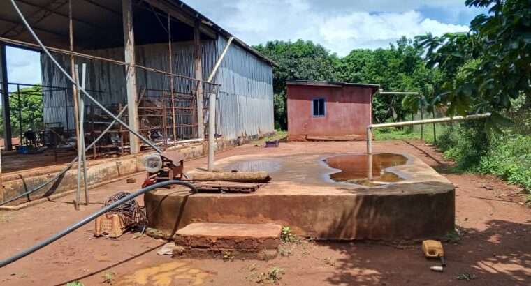 500 ACRES DEVELOPED FARM. TZS.1.5 BIL, AT KABUKU