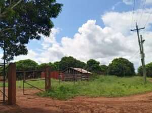 500 ACRES DEVELOPED FARM. TZS.1.5 BIL, AT KABUKU