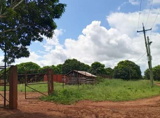 500 ACRES DEVELOPED FARM. TZS.1.5 BIL, AT KABUKU