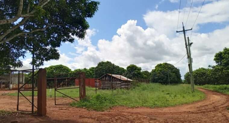 500 ACRES DEVELOPED FARM. TZS.1.5 BIL, AT KABUKU