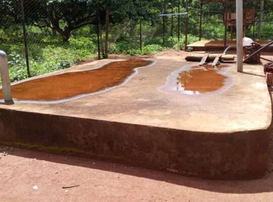 500 ACRES DEVELOPED FARM. TZS.1.5 BIL, AT KABUKU