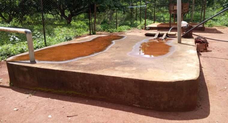 500 ACRES DEVELOPED FARM. TZS.1.5 BIL, AT KABUKU