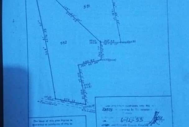 500 ACRES DEVELOPED FARM. TZS.1.5 BIL, AT KABUKU