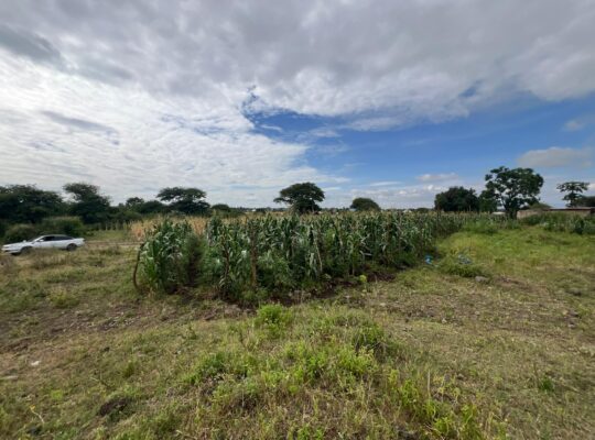 SHAMBA EKARI 58/MTO SANYA,TZS.17 MIL/EKA MOSHI