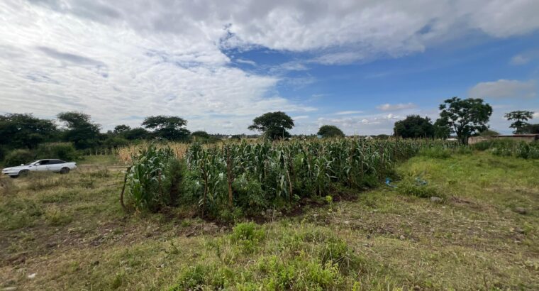 SHAMBA EKARI 58/MTO SANYA,TZS.17 MIL/EKA MOSHI