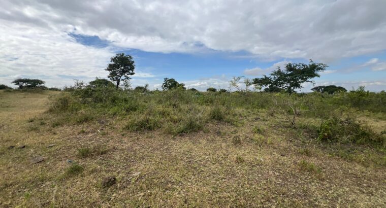 SHAMBA EKARI 58/MTO SANYA,TZS.17 MIL/EKA MOSHI