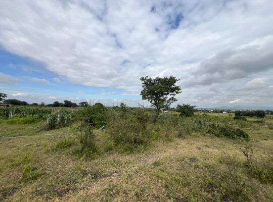 SHAMBA EKARI 58/MTO SANYA,TZS.17 MIL/EKA MOSHI