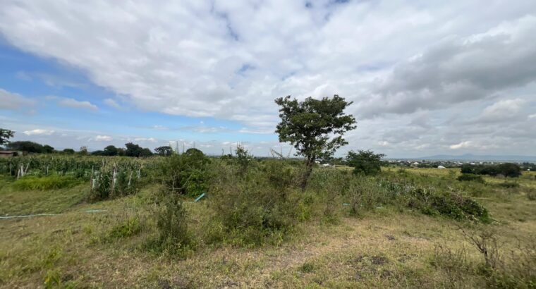 SHAMBA EKARI 58/MTO SANYA,TZS.17 MIL/EKA MOSHI