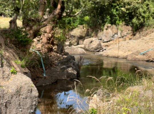 SHAMBA EKARI 58/MTO SANYA,TZS.17 MIL/EKA MOSHI