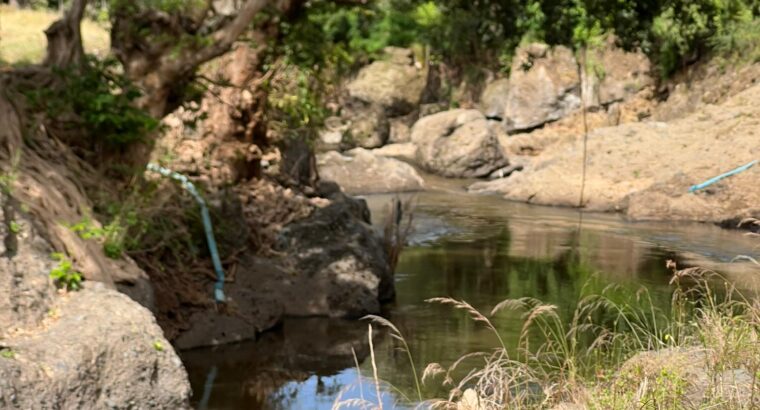 SHAMBA EKARI 58/MTO SANYA,TZS.17 MIL/EKA MOSHI