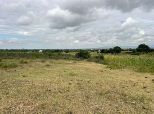 SHAMBA EKARI 58/MTO SANYA,TZS.17 MIL/EKA MOSHI
