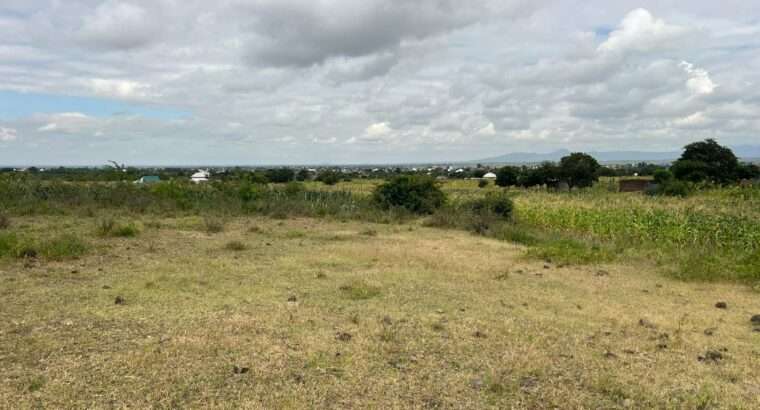 SHAMBA EKARI 58/MTO SANYA,TZS.17 MIL/EKA MOSHI