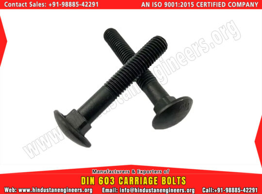 Hex Nuts Hex Head Bolts Fasteners, Strut Channel