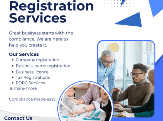 Business Registration and Compliance Services