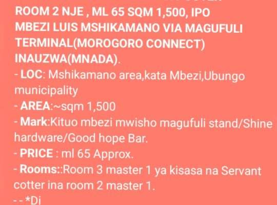 NYUMBA ZINAZOUZWA NA BANK, BEI RAFIKI, WAHI.