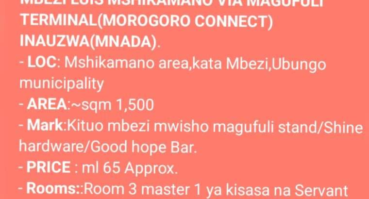 NYUMBA ZINAZOUZWA NA BANK, BEI RAFIKI, WAHI.