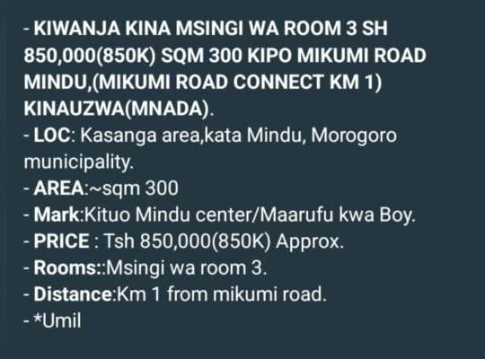 NYUMBA ZINAZOUZWA NA BANK, BEI RAFIKI, WAHI.