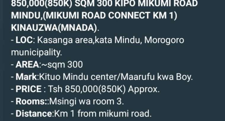 NYUMBA ZINAZOUZWA NA BANK, BEI RAFIKI, WAHI.