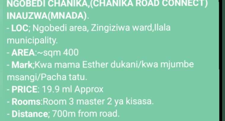 NYUMBA ZINAZOUZWA NA BANK, BEI RAFIKI, WAHI.