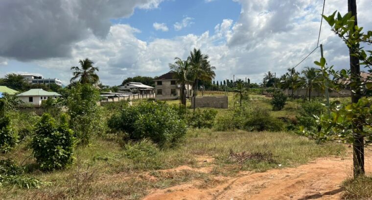 KIWANJA CHENYE HATI,SQM.1448,TZS.160 MIL,BUNJU.